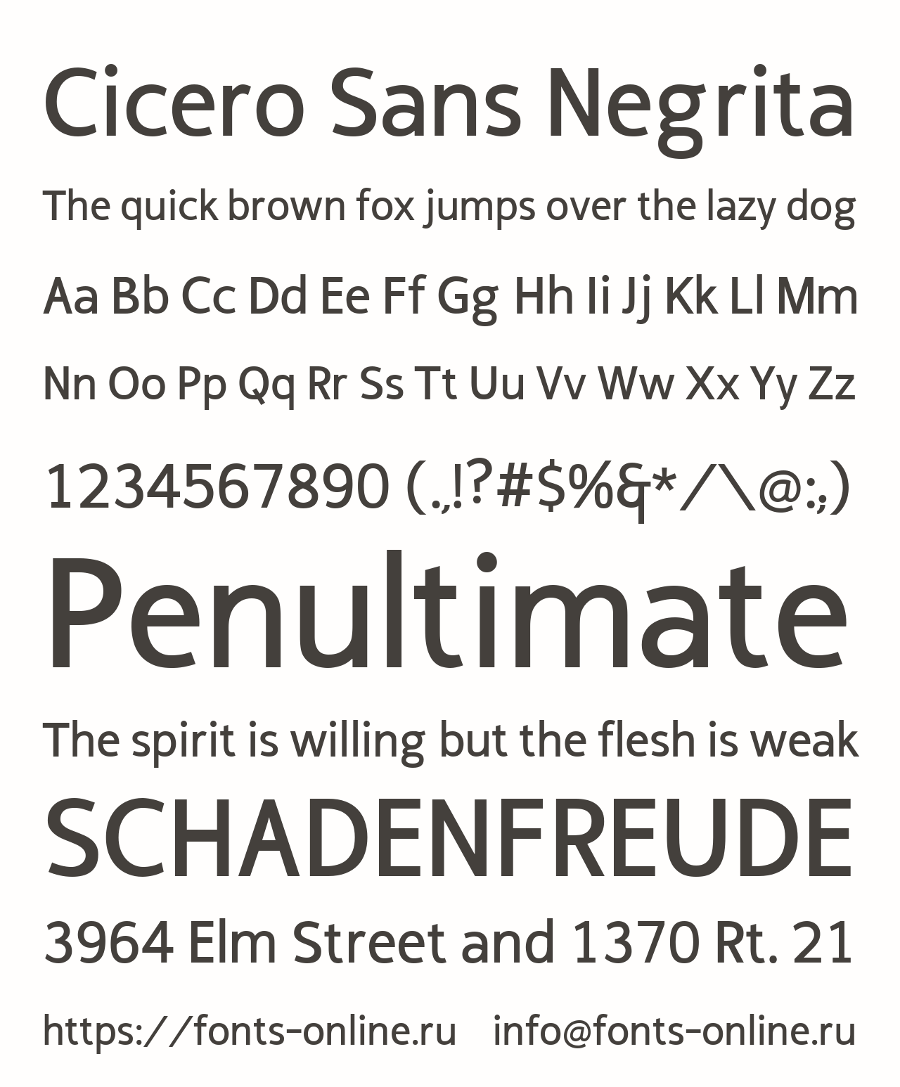 Cicero Sans Negrita Free Font Download